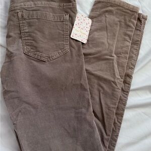 Free People Taupe Corduroy Pants